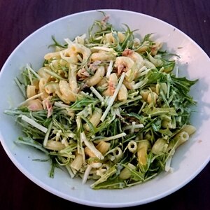 ツナと水菜のマカロニサラダ